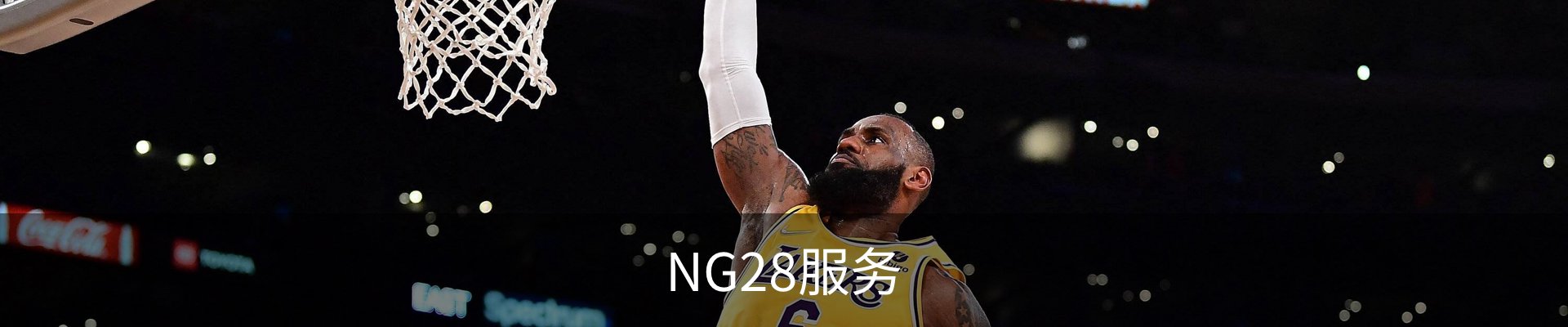 NG28服务